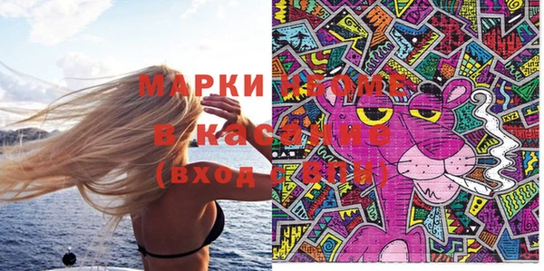 молекула духа Чердынь