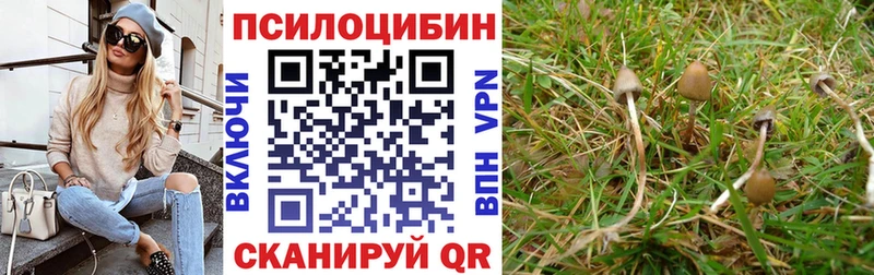 Галлюциногенные грибы Psilocybine cubensis  дарнет шоп  Сафоново 