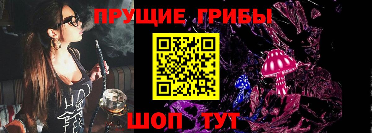 Сафоново  Галлюциногенные грибы Psilocybe  Вход с VPN 